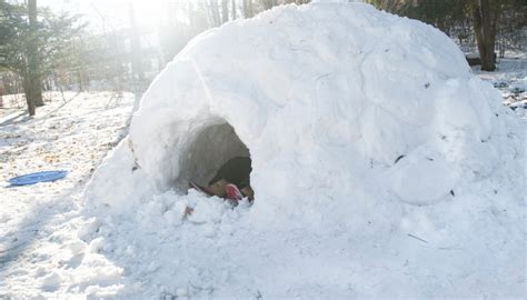 Building A Snow Fort: A Guide To Winter Fun And Creativity