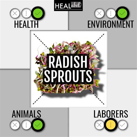 radish sprouts health benefits Archives | HEALabel