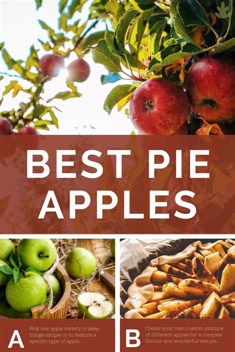 The best apple varieties for apple pie filling taste texture – Artofit