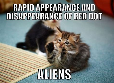 100 Funniest Cat Memes Ever