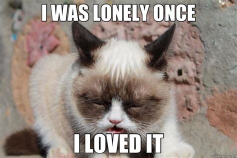 lonely cat | Grumpy cat, Bad cats, Funny meme pictures