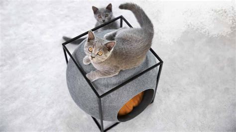 100+ Modern Pet Furniture Ideas | Cat Tower, Dog Beds & More