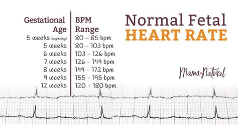 Fetal heart rate at 8 weeks