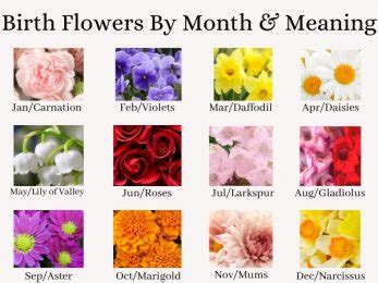 Birth Flowers By Month And Meaning | Flowersandflowerthings