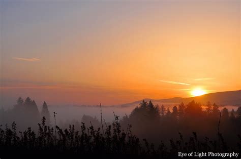 Eye of Light Photography: foggy sunrise