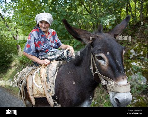 Old Lady With Donkey Sepina Italy Stock Photo - Alamy