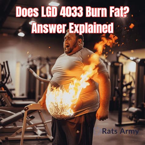 Does LGD 4033 Burn Fat: Answer Explained