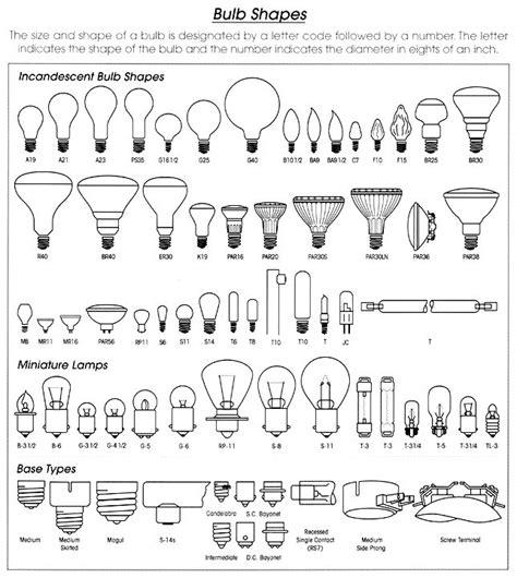 Bulb shapes | Bulb, How to make light, New home checklist