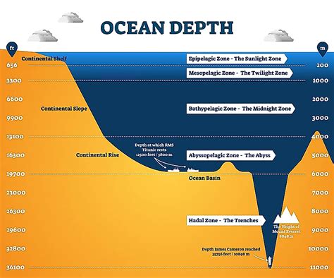 Ocean Zone Map - Wayne Baisey