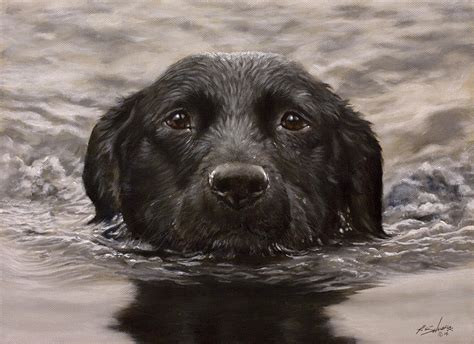 Black Labrador Portrait II Painting by John Silver - Fine Art America