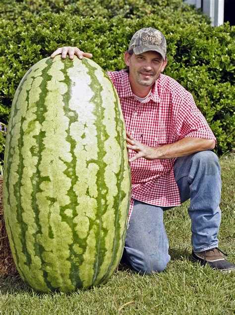 282 | Giant Watermelon Growers Club – Growin' Big Melons