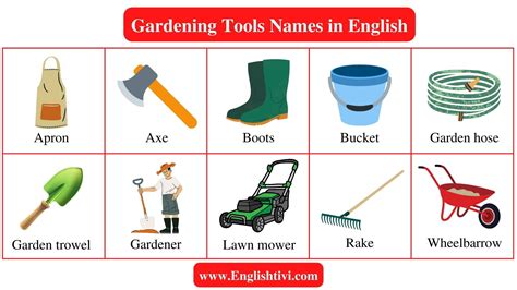 Gardening Tools Names in English with Pictures - Englishtivi