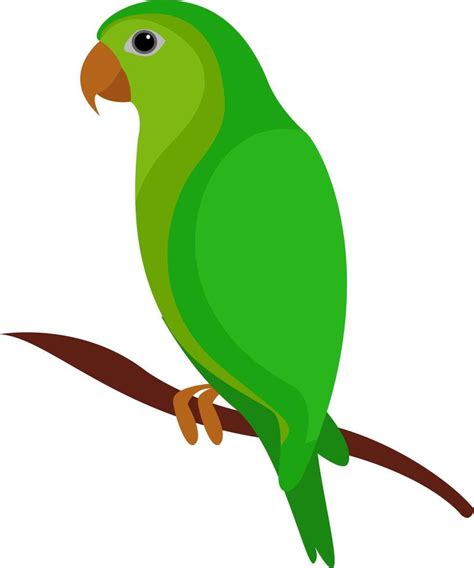 Green parrot, illustration, vector on white background 13515739 Vector Art at Vecteezy