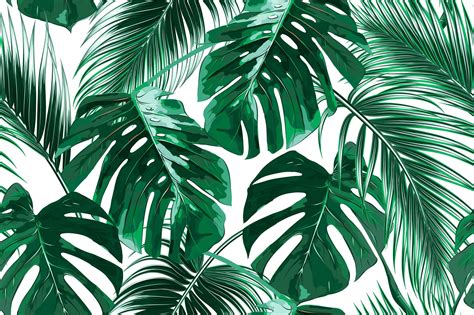 Tropical Palm Leaf Wallpapers - Top Free Tropical Palm Leaf Backgrounds - WallpaperAccess