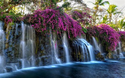 Waterfall Flowers Wallpapers - Wallpaper Cave