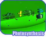 Biology: Photosynthesis and Respiration - On Beyond Z