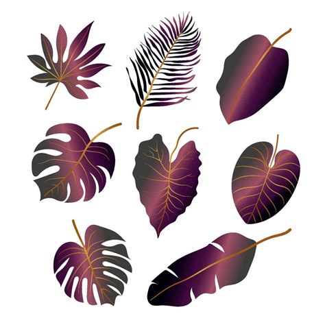 Tropical leaves collection. 14436265 Vector Art at Vecteezy