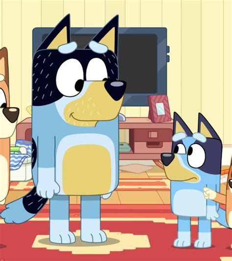 'Bluey' Season 4: More Episodes Are Coming