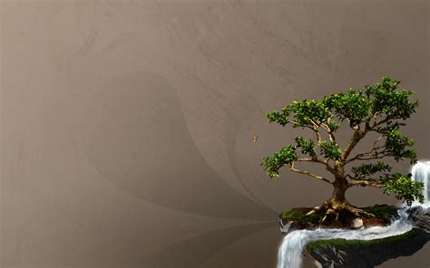 🔥 [60+] Bonsai Tree Wallpapers | WallpaperSafari