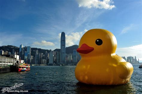 Giant Yellow Rubber Duck in Victoria Harbor Hong Kong | The Hong Kong Less Traveled