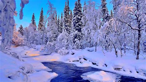 Winter Themed Wallpaper 4K - KoLPaPer - Awesome Free HD Wallpapers