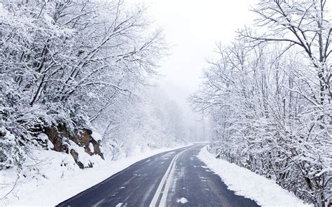 Winter Road wallpaper | 2560x1600 | #8800