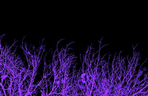 Dark Purple Aesthetic Wallpapers - Wallpaper Cave