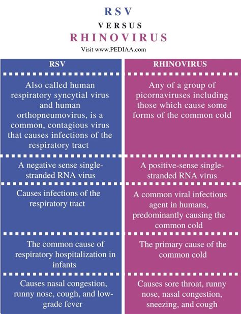 What is the Difference Between RSV and Rhinovirus - Pediaa.Com