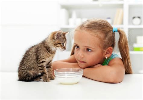 Cat Care Tips for Kids - Life is Sweeter By Design