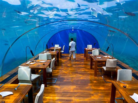 Indulge in Luxurious Ithaa Underwater Restaurant in Maldives | The BackPackers