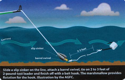 +22 Rigs For Trout Fishing In Streams 2022