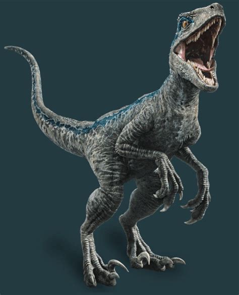 Jurassic World Fallen Kingdom full photo of the Velociraptor | Dinossauros, Arte com tema de ...