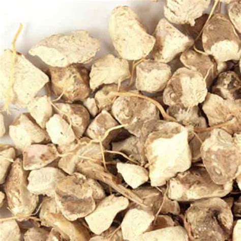 Bulk Wild Yam Root Cut & Sifted, Wild Crafted | Monterey Bay Herb Co