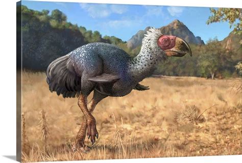 Titanis walleri, a flightless carnivorous bird from the Pleistocene epoch Wall Art, Canvas ...