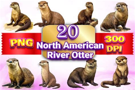 North American River Otter Clipart Graphic by ColorBound Books · Creative Fabrica