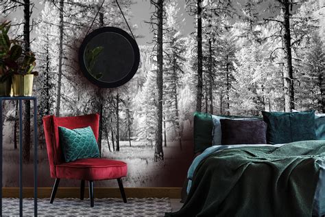 Black Forest Wallpaper Mural- Forest Wallpapers - Wall Murals