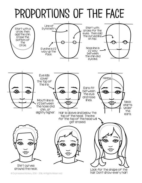 Facial Proportions Drawing Handout