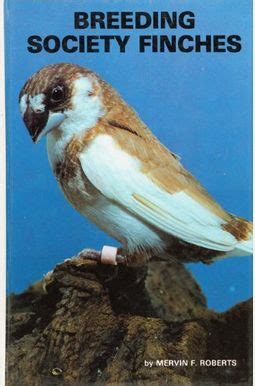 Buy Society Finches, Breeding Book By: Mervin F Roberts