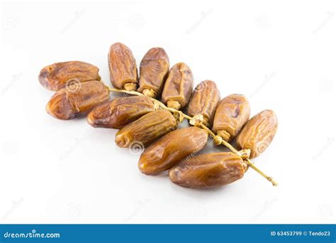 Date Palm stock image. Image of eating, brown, gourmet - 63453799