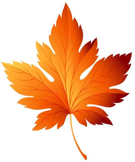 Autumn Leaf Transparent Picture Free Download | Leaf art, Fall leaves drawing, Watercolor autumn ...