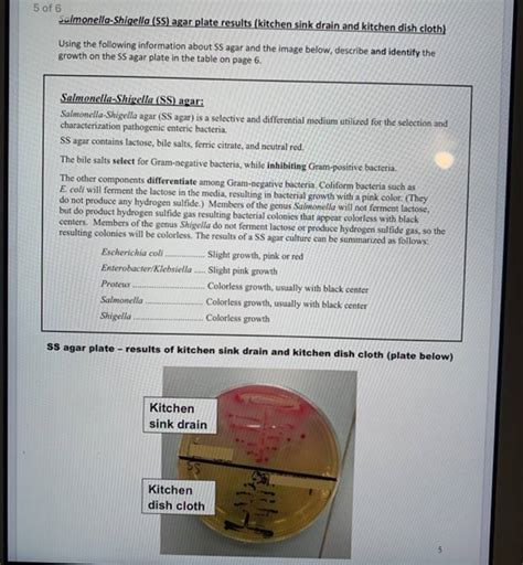 (Solved) - Nutrient Agar Plate Results (Kitchen Counter And Kitchen ...