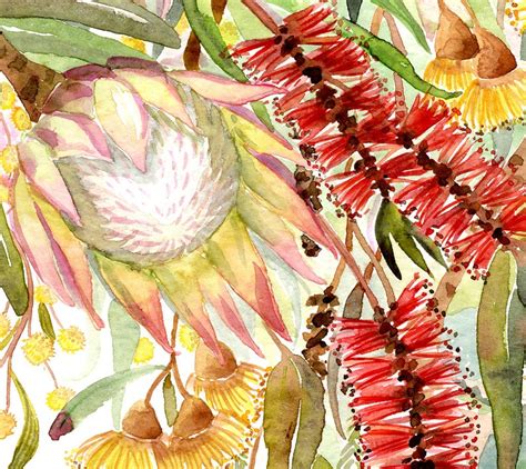 Banksia Art Print Australian Native Painting Watercolor Wall - Etsy Australia