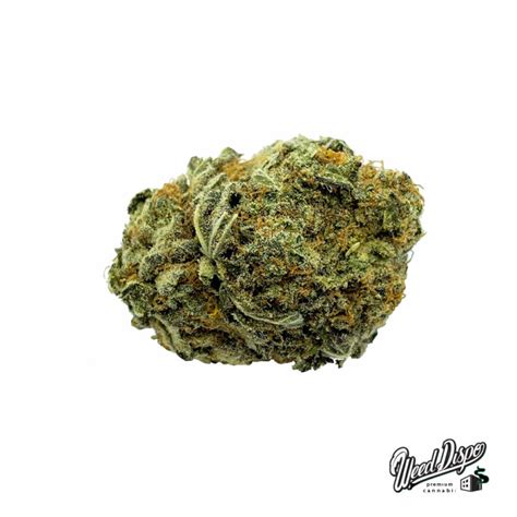 Blue Dream - Weed Dispo