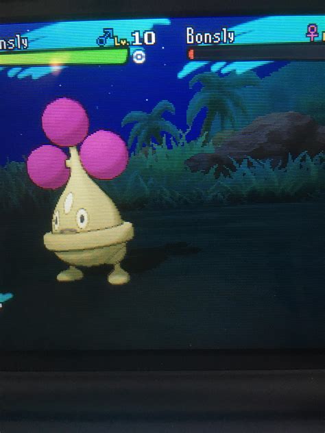 [7] Shiny bonsly after around 55 SOS calls!! : ShinyPokemon