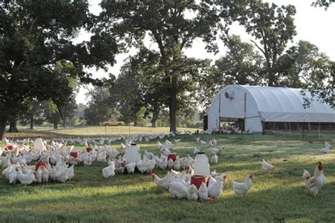 Vital Farms may add egg grading facility in Missouri | WATTAgNet | WATTPoultry