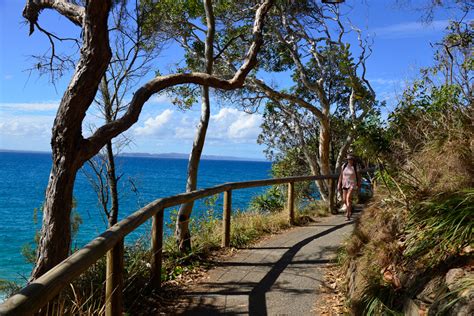 Noosa National Park Noosa | Must do Brisbane