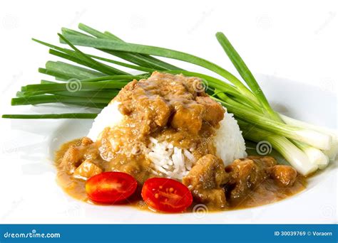 Rice with chicken stew stock image. Image of tomato, meal - 30039769