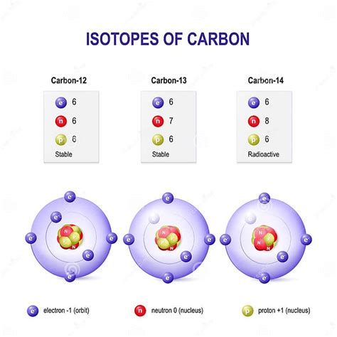 Isotopes of Carbon stock vector. Illustration of design - 80259031