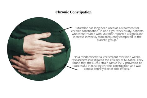 The E-coli Strain 'Nissle 1917' (Mutaflor) A Powerful Probiotic