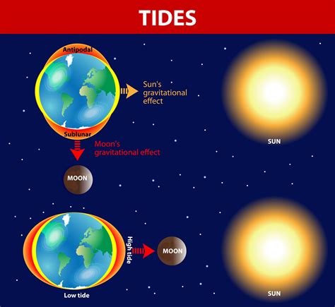 Diagram Of High And Low Tides